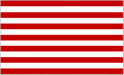 buy Sons of Liberty Flag